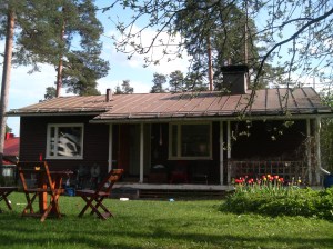 Rahkoilankatu34_takapihalta_terassin_suuntaan