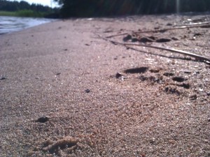 jalanjälki-hiekassa (2)