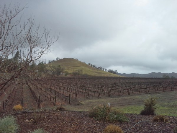 Kukkula-sateista-taivasta-vasten