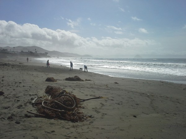 cayucosin-ranta-ja-levakasa