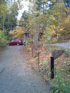 ajotie ilman salavia