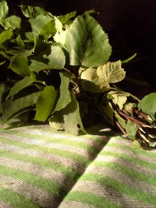 saunavihta ja laudeliina