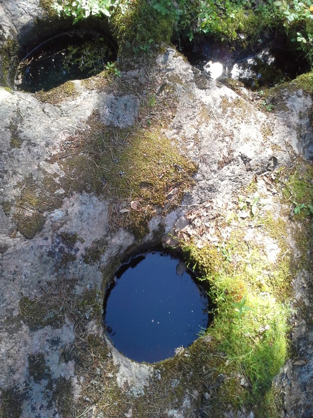 Iloinen leski ja iloinen kuski&nbsp;kesäretkellä