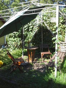 kaljateltan runko puutarhassa