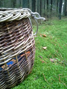 tyhjä-sienikori-sammaleella