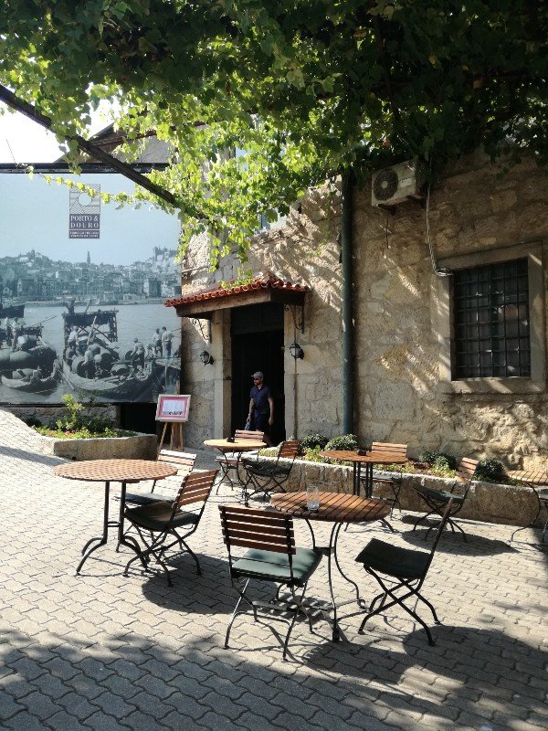 Terassi viiniköynnöksen katveessa