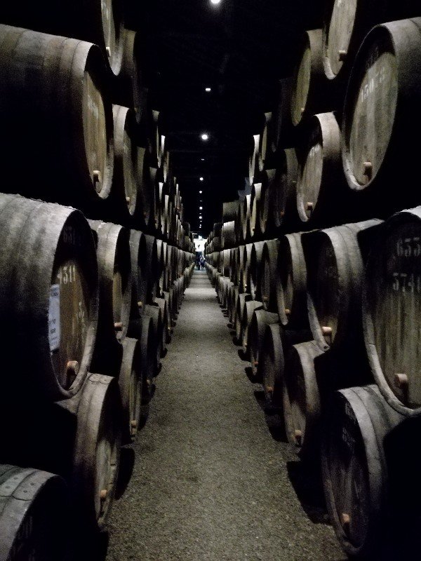 Taylor's port viinikellarin tynnyreitä